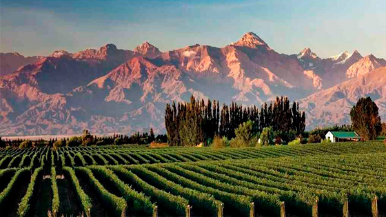 Mendoza